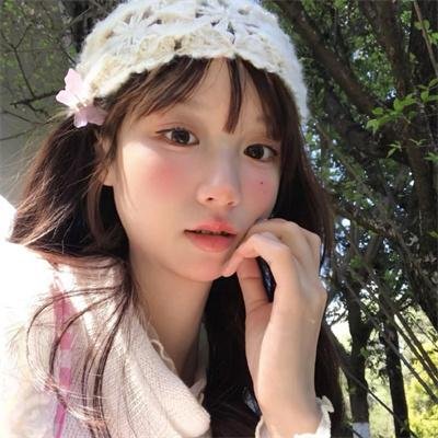 父仇者